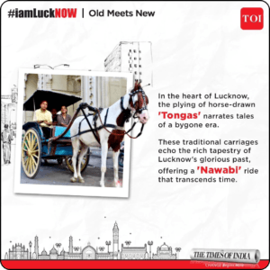 Untitled design (97)