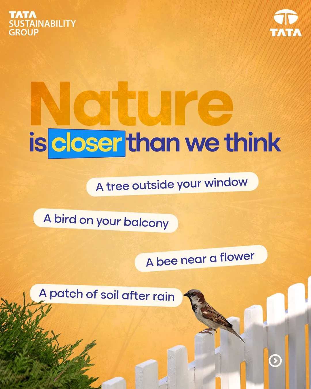 #tatasustainabilitygroup #tsg #tatasustainabilitymonth #tsm2026 #biodiversity #projectaalingana #everydayaction | Tata Sustainability Group